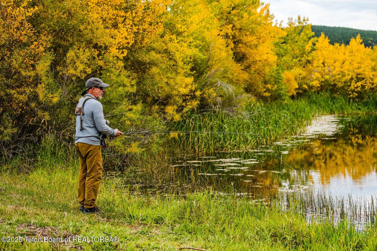 https://bt-photos.global.ssl.fastly.net/teton/1280_boomver_1_25-1695-2.jpg