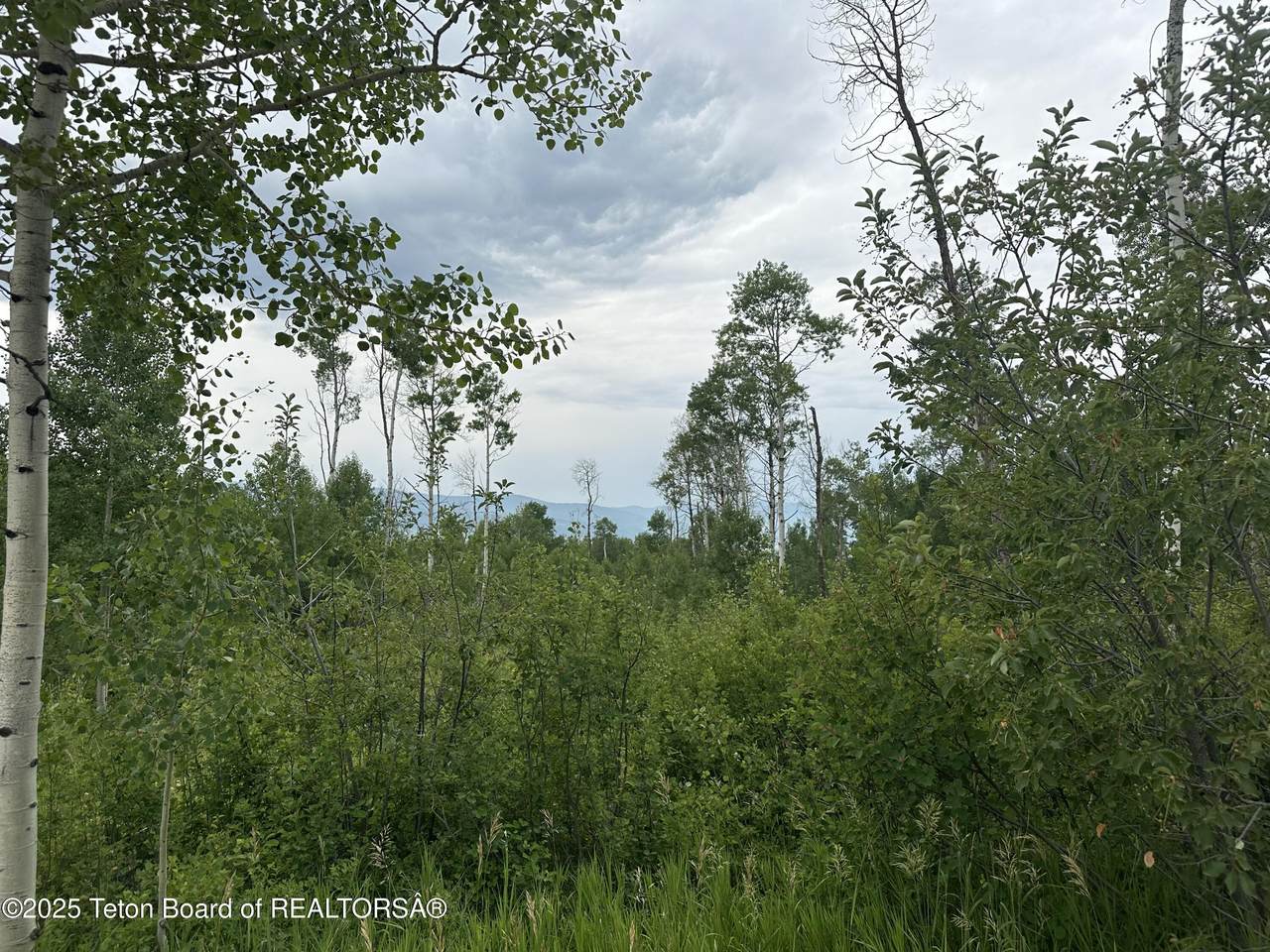 https://bt-photos.global.ssl.fastly.net/teton/1280_boomver_1_25-1737-2.jpg