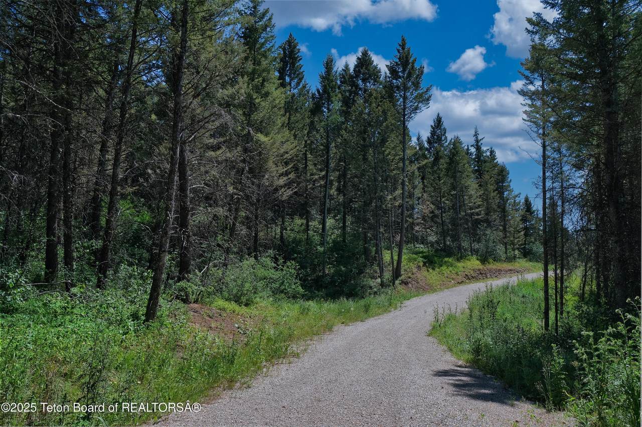 https://bt-photos.global.ssl.fastly.net/teton/1280_boomver_1_25-1928-2.jpg