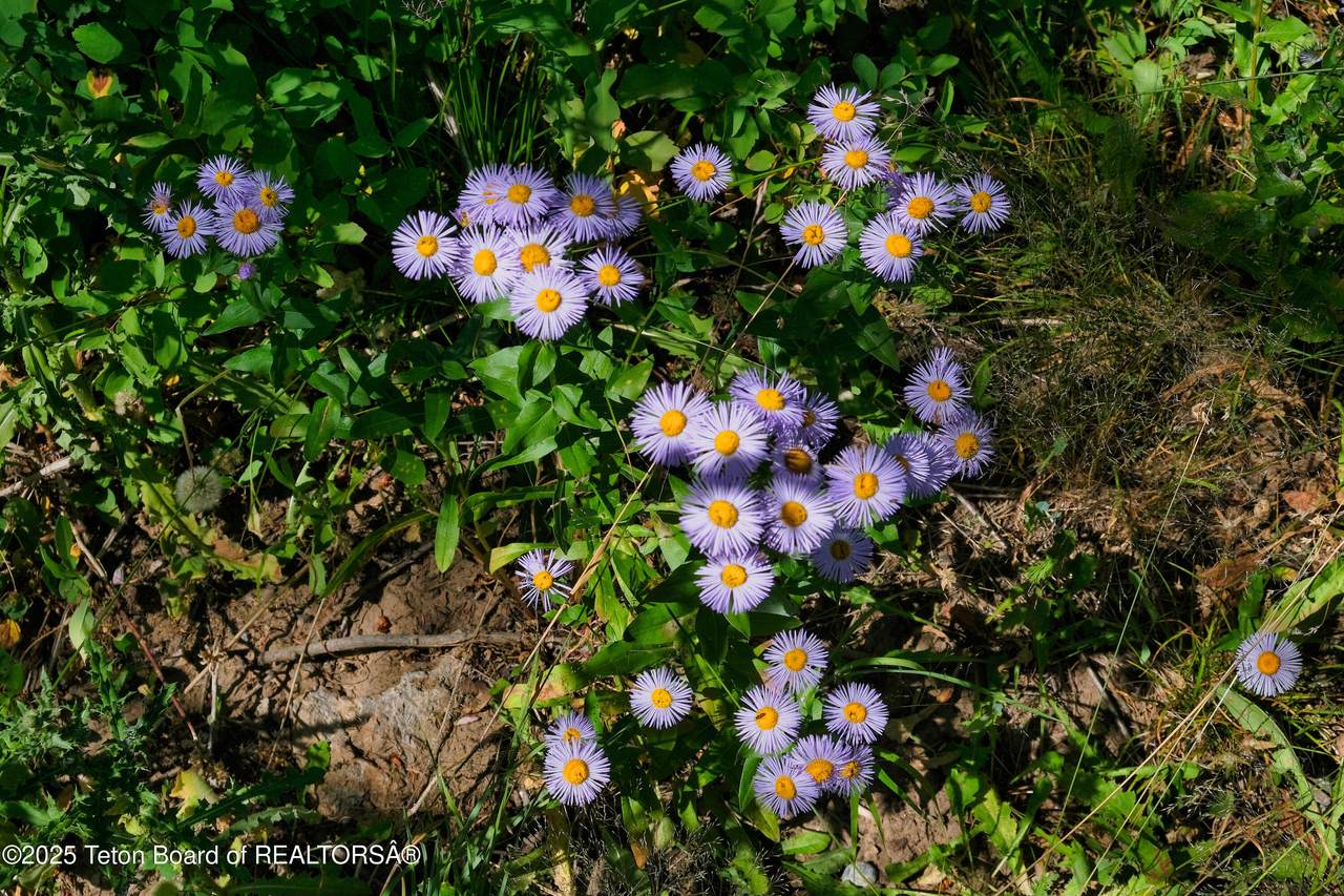 https://bt-photos.global.ssl.fastly.net/teton/1280_boomver_1_25-1928-2.jpg