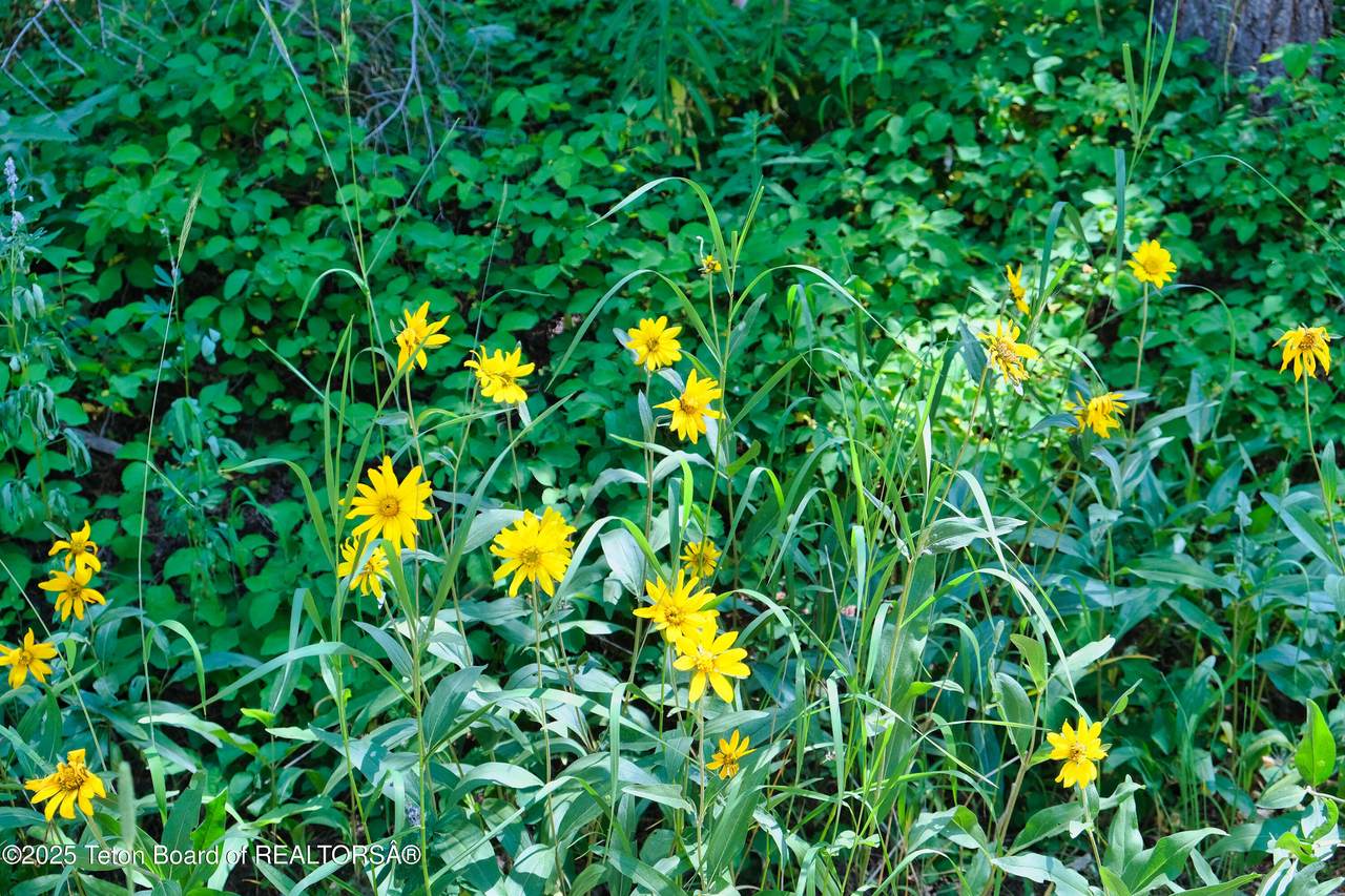 https://bt-photos.global.ssl.fastly.net/teton/1280_boomver_1_25-1928-2.jpg