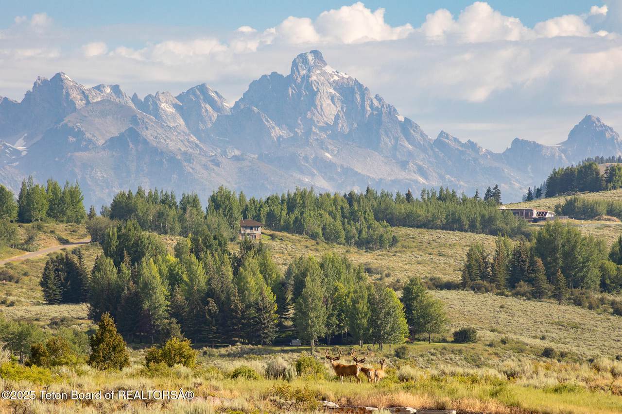 400 Red Tail Butte Road - Photo 1