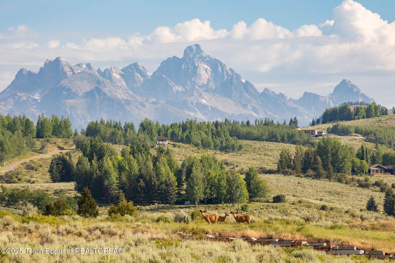 https://bt-photos.global.ssl.fastly.net/teton/1280_boomver_1_25-1968-2.jpg