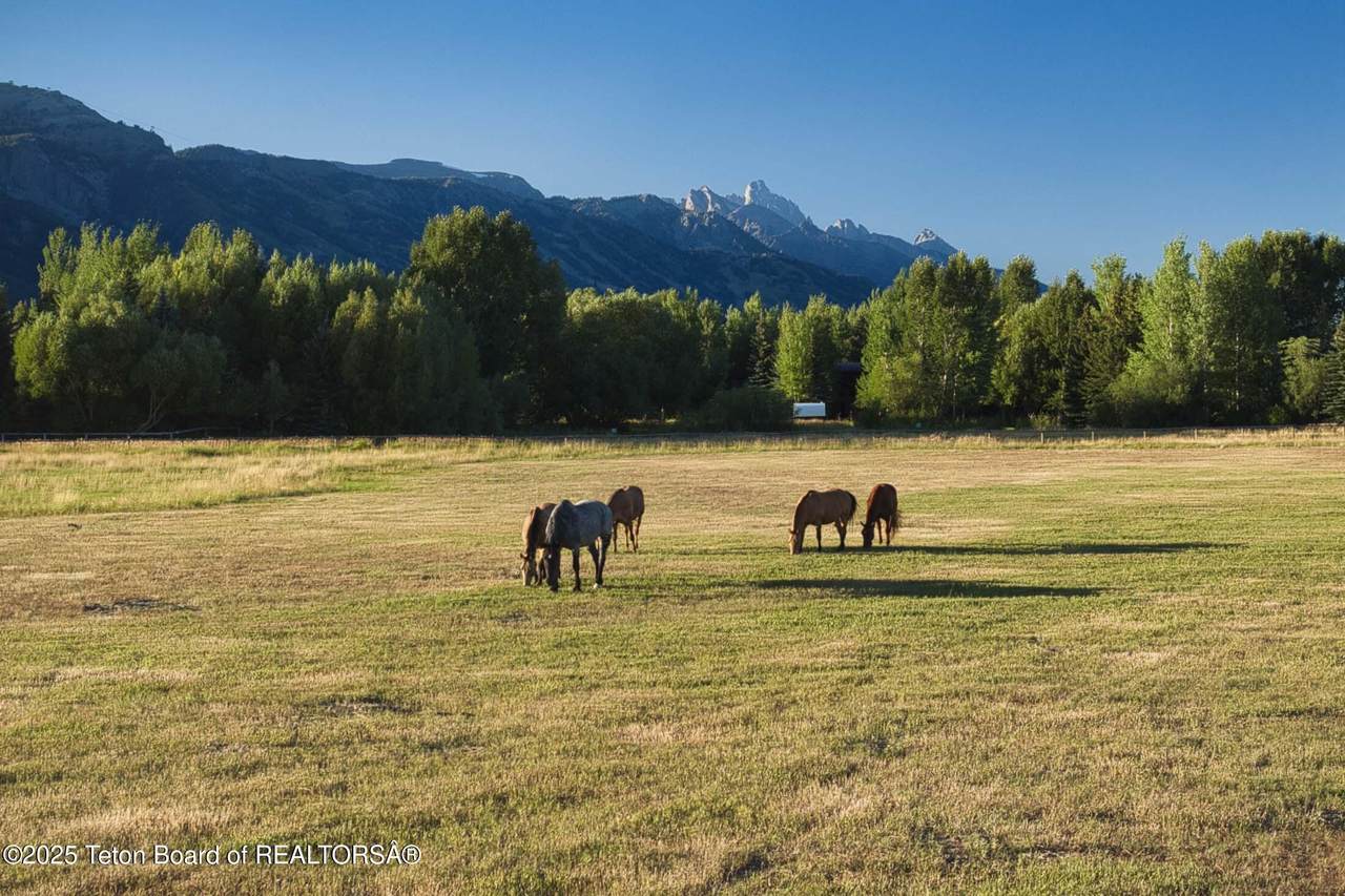 https://bt-photos.global.ssl.fastly.net/teton/1280_boomver_1_25-2164-2.jpg