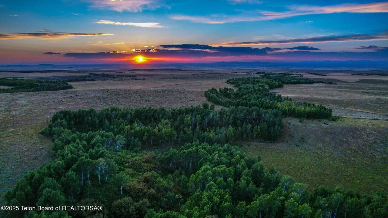  Long Hollow Road - Photo 1