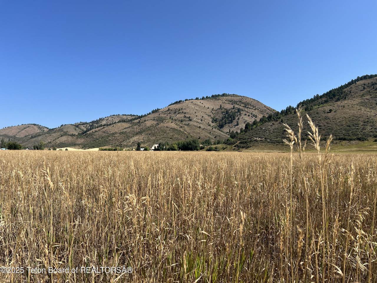 https://bt-photos.global.ssl.fastly.net/teton/1280_boomver_1_25-2414-2.jpg
