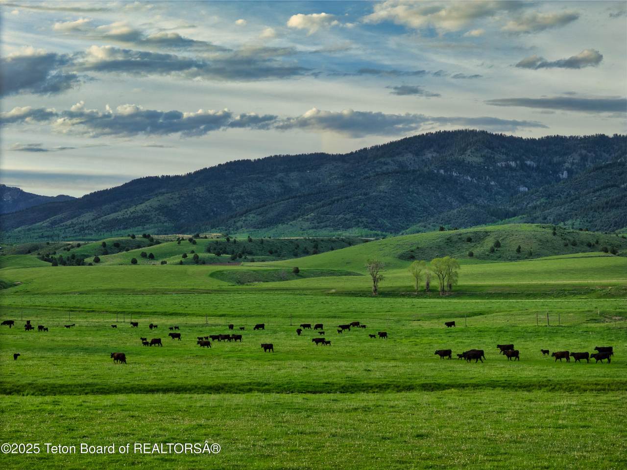 https://bt-photos.global.ssl.fastly.net/teton/1280_boomver_1_25-2434-2.jpg