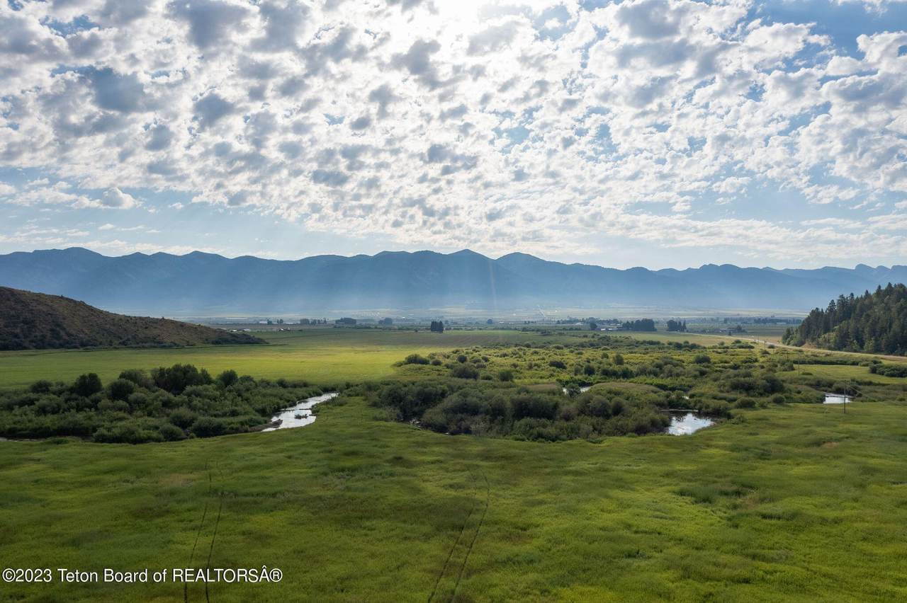 7 Dove Street - Photo 1