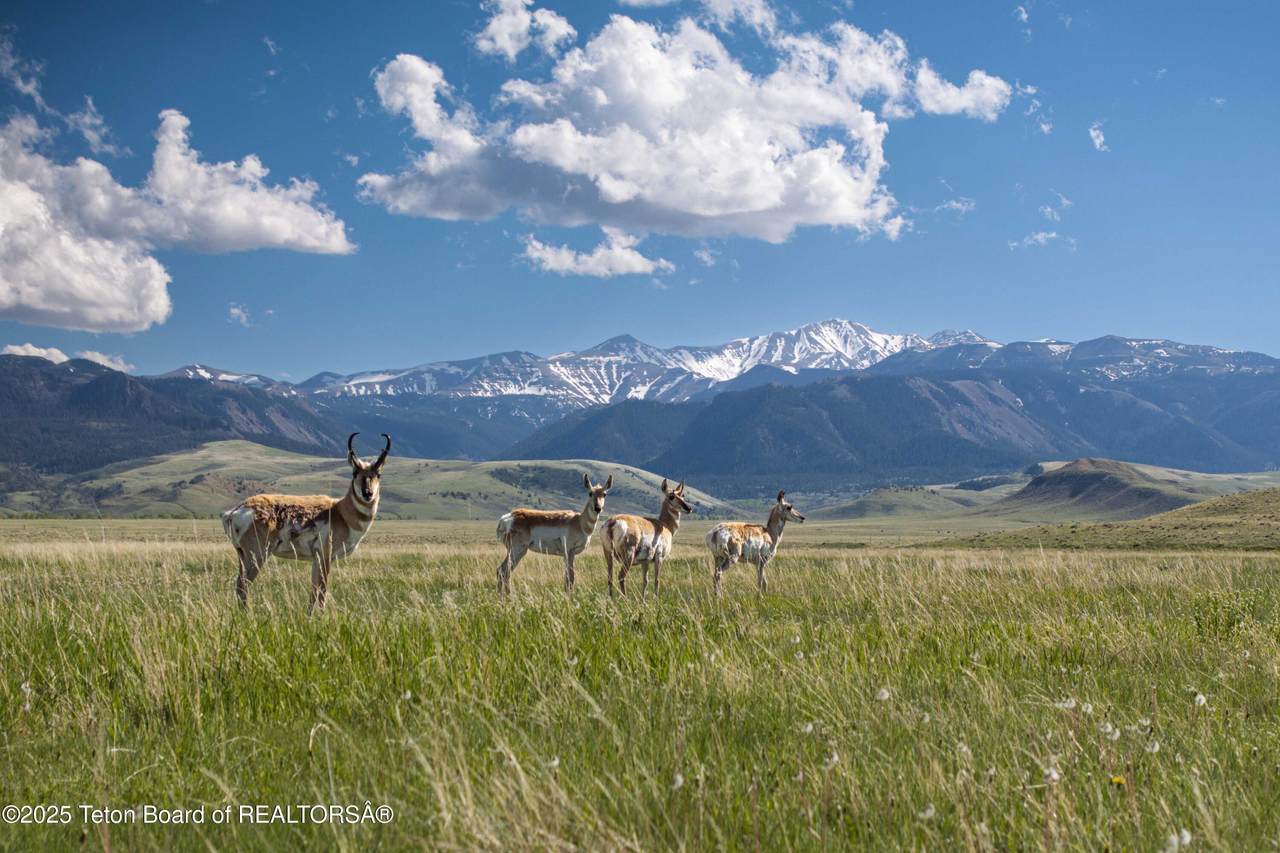 https://bt-photos.global.ssl.fastly.net/teton/1280_boomver_1_25-2558-2.jpg