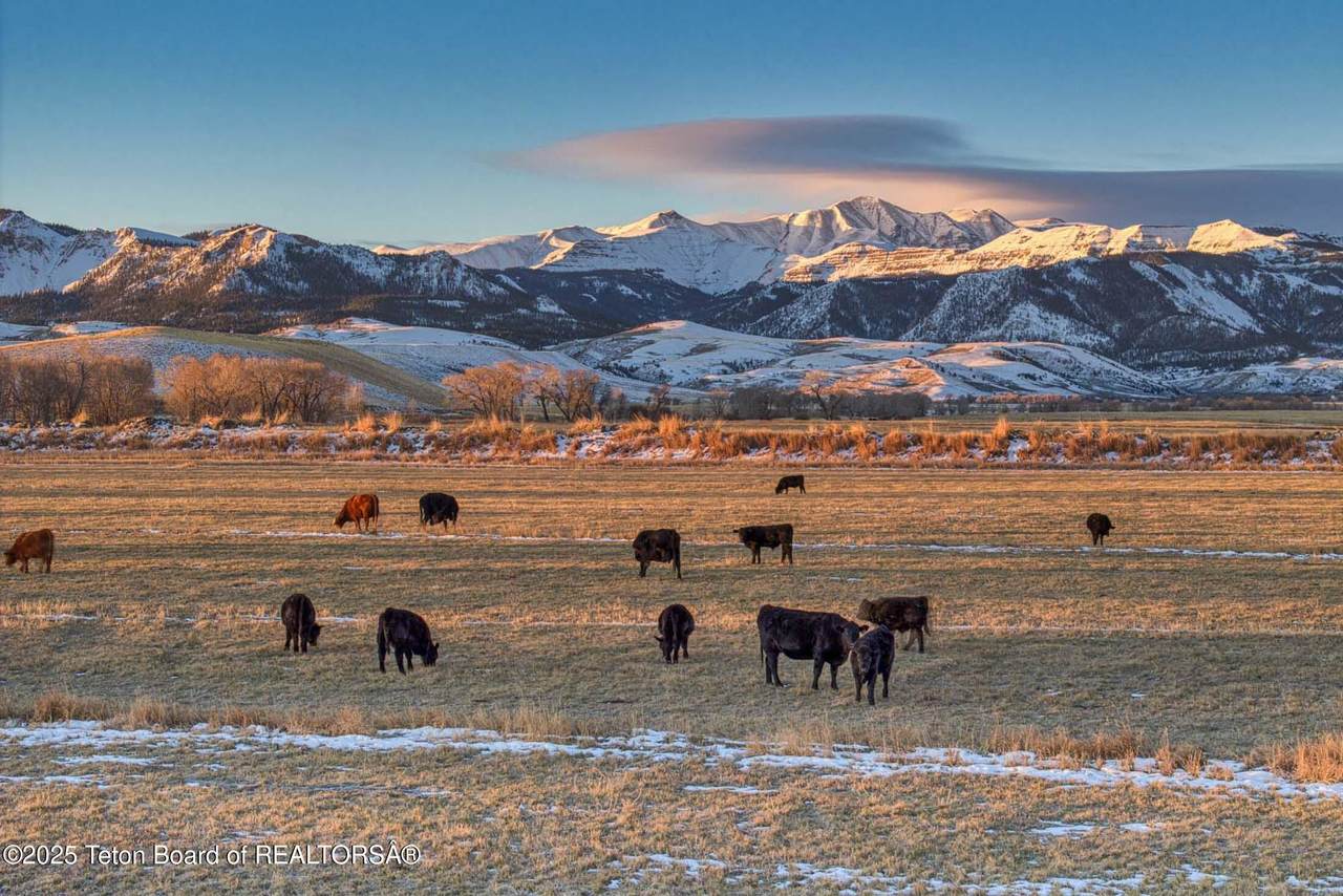 https://bt-photos.global.ssl.fastly.net/teton/1280_boomver_1_25-2558-2.jpg