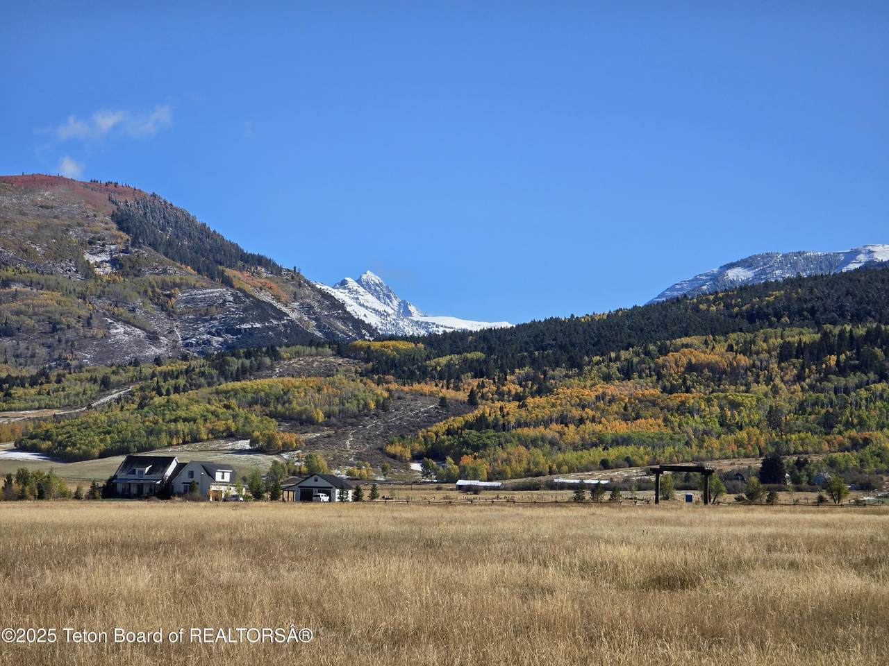 1955 Cherry Grove Lane - Photo 1