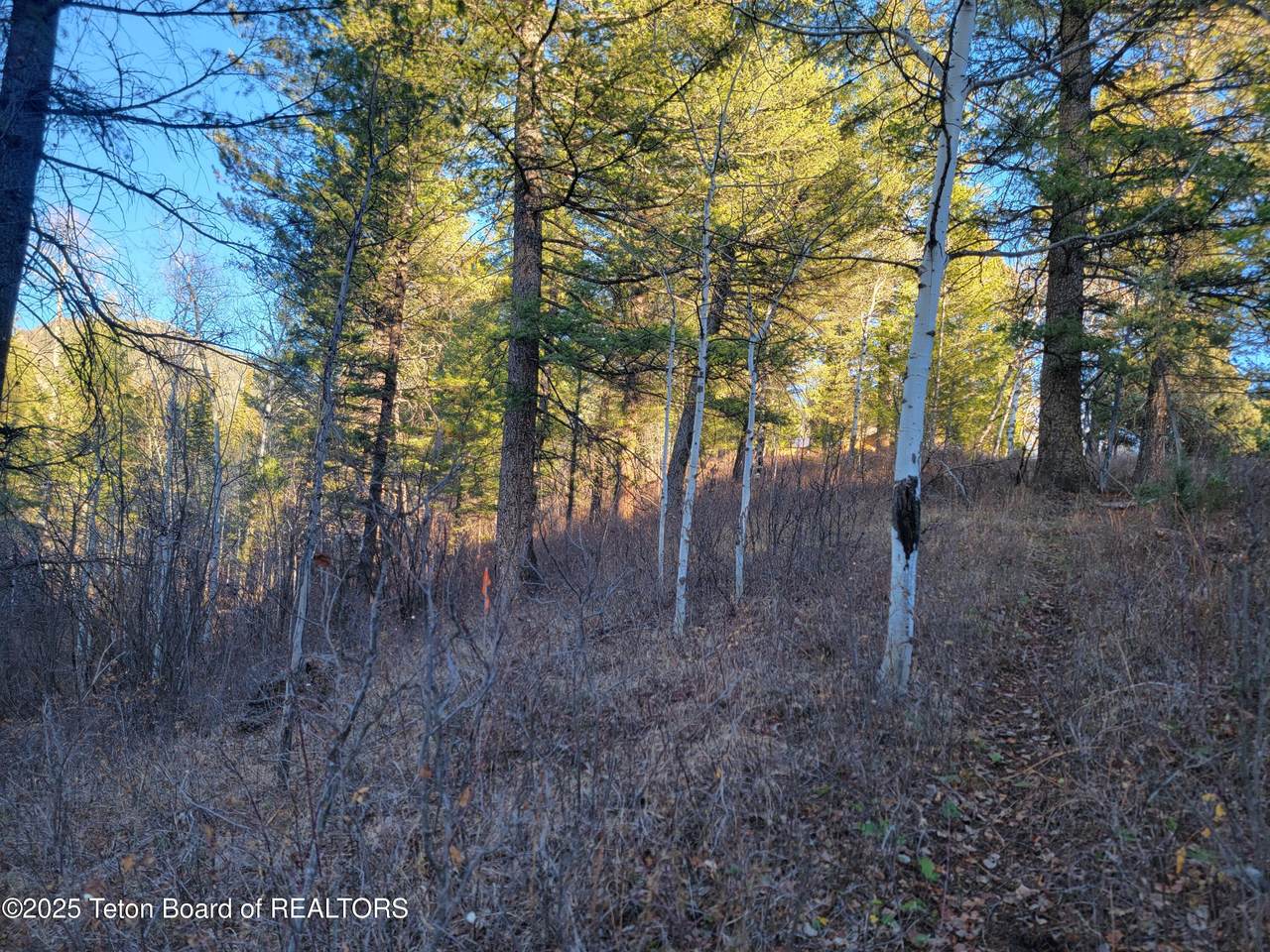 L13B2 Cutthroat Run - Photo 1