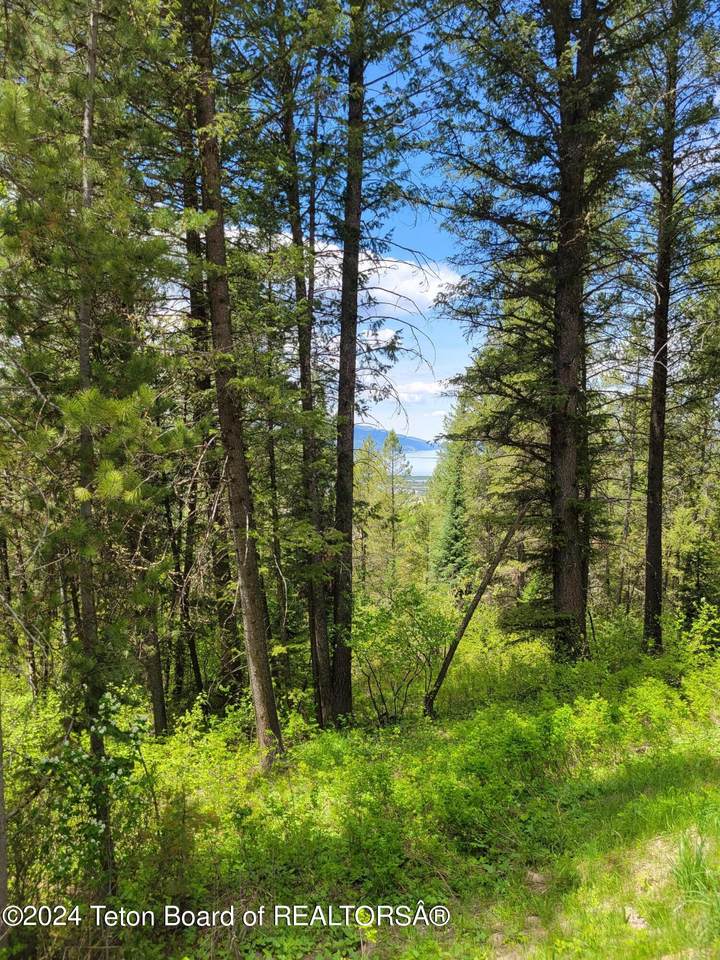 Lot 22 Trail Ridge Road - Photo 1