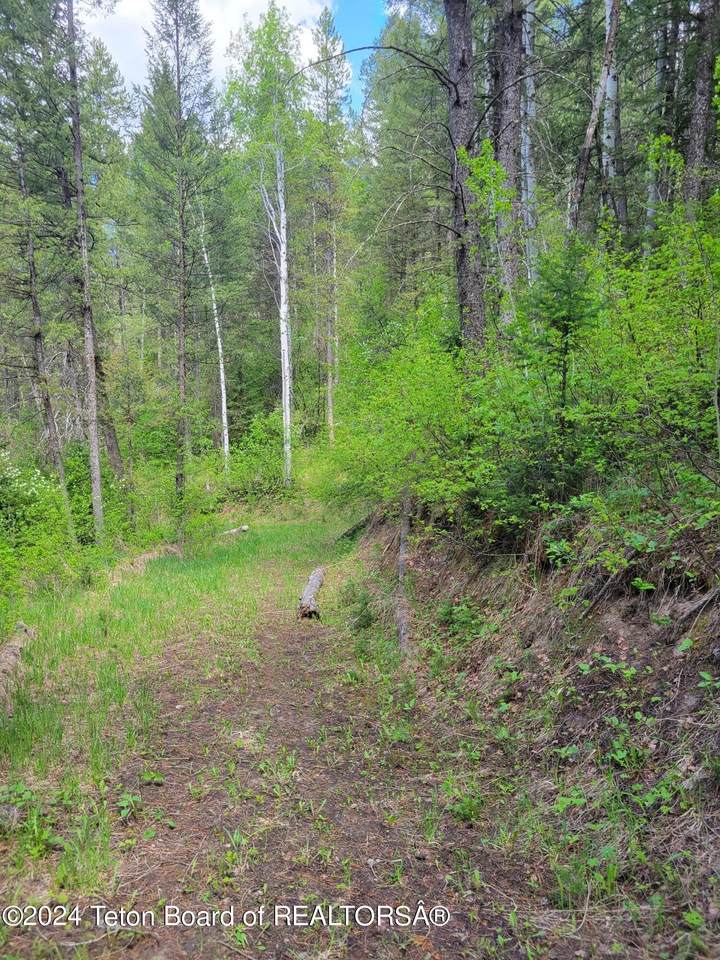 https://bt-photos.global.ssl.fastly.net/teton/1280_boomver_1_25-849-2.jpg