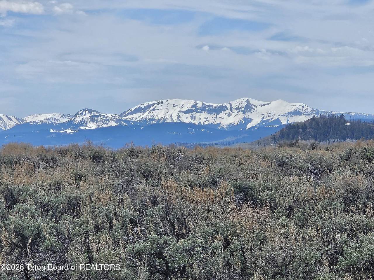 TRACT 5 Beaver Ridge Road - Photo 1
