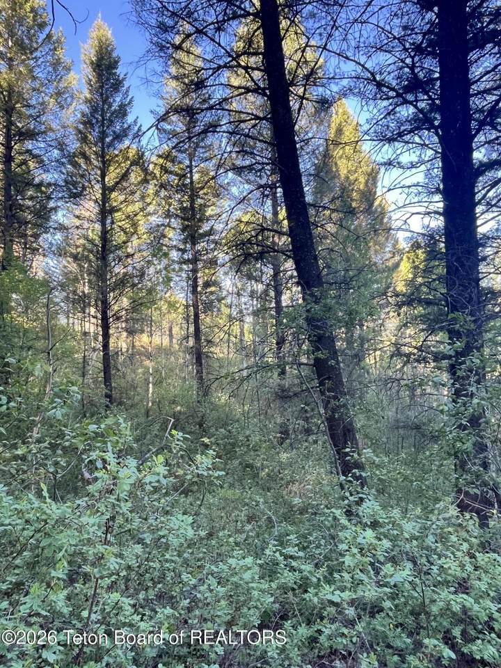 https://bt-photos.global.ssl.fastly.net/teton/1280_boomver_1_26-1083-2.jpg