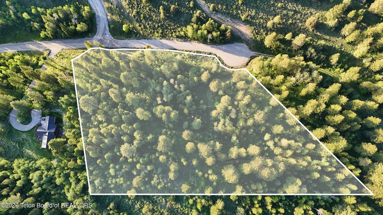 TBD Caribou Forest Cir - Photo 1