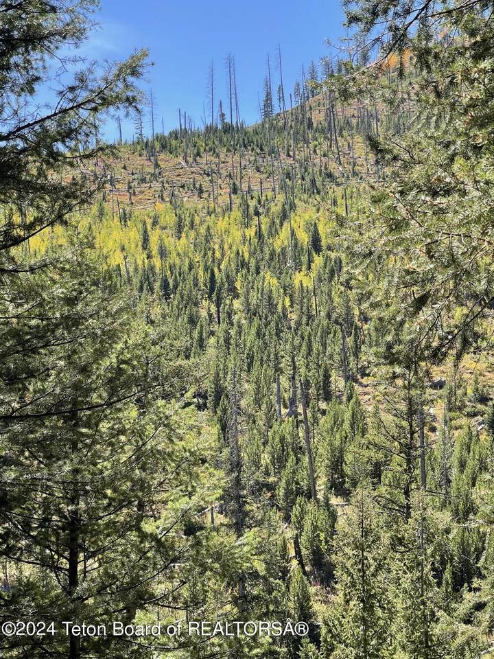 https://bt-photos.global.ssl.fastly.net/teton/1280_boomver_1_26-1388-2.jpg
