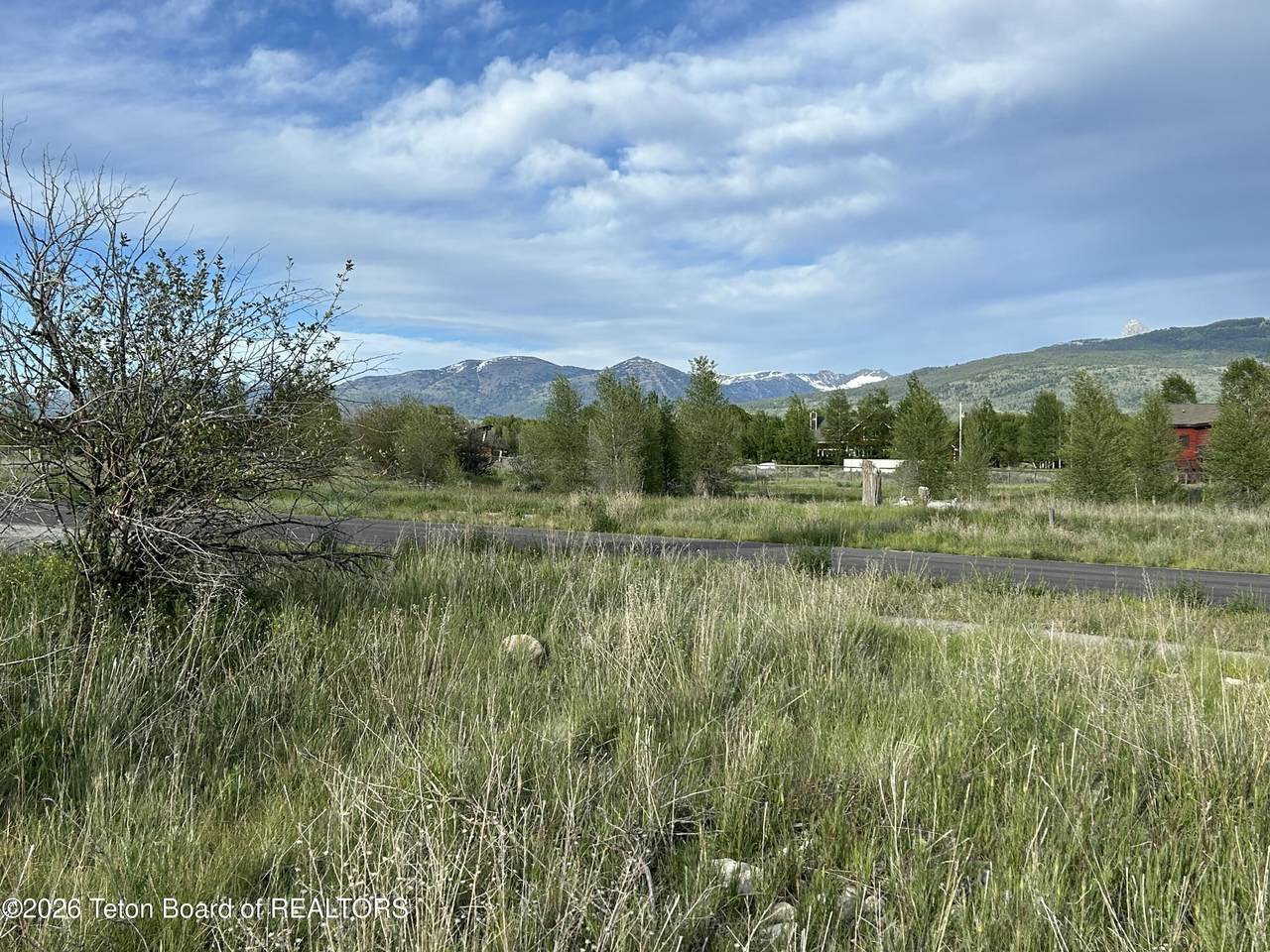 384 Palisade Trail - Photo 1