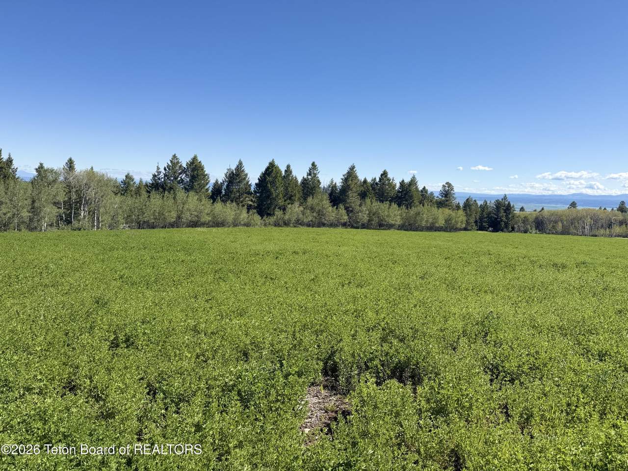 https://bt-photos.global.ssl.fastly.net/teton/1280_boomver_1_26-1501-2.jpg