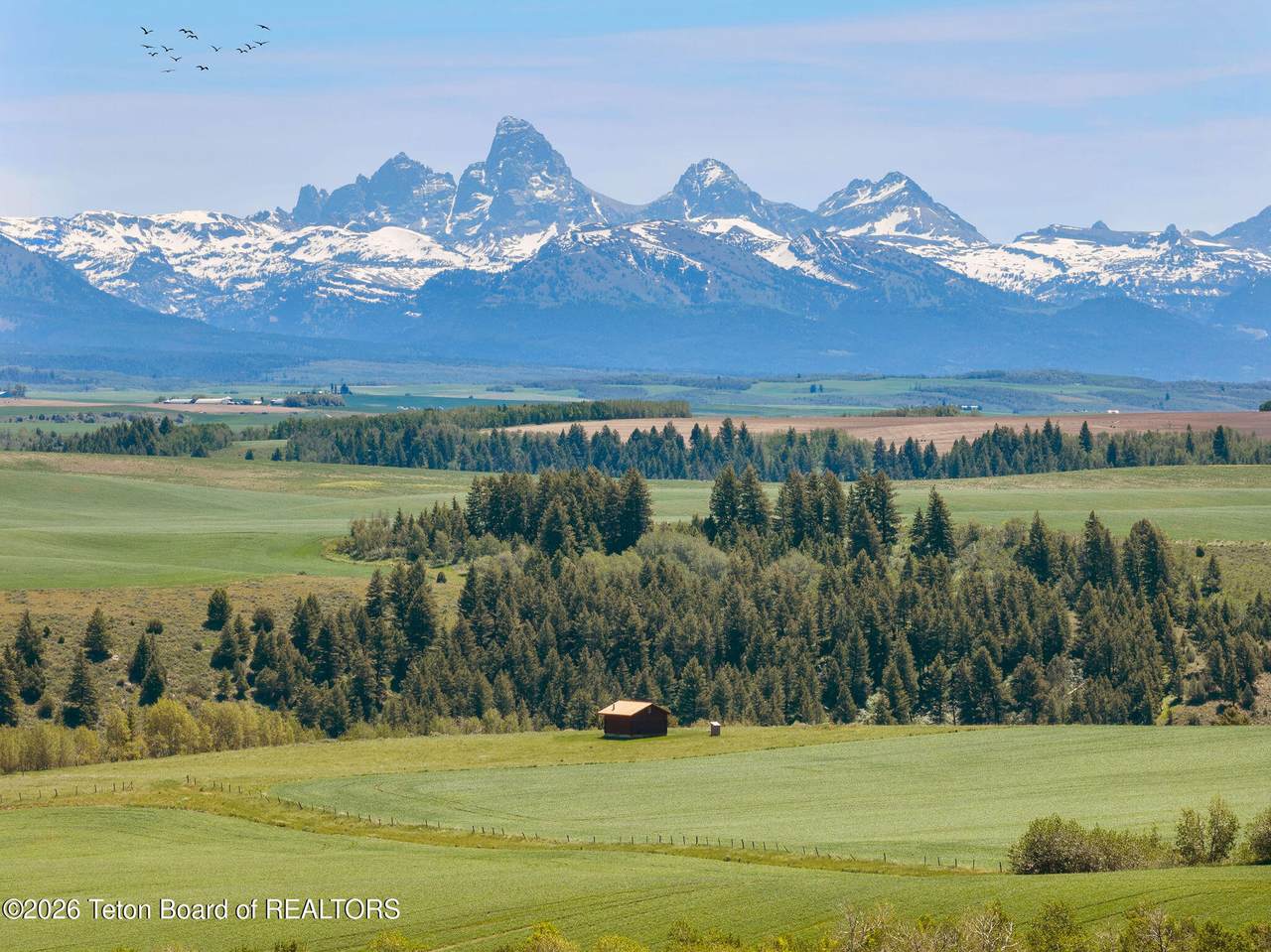 https://bt-photos.global.ssl.fastly.net/teton/1280_boomver_1_26-1616-2.jpg