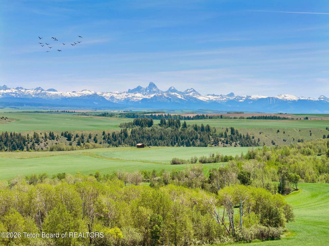 https://bt-photos.global.ssl.fastly.net/teton/1280_boomver_1_26-1616-2.jpg