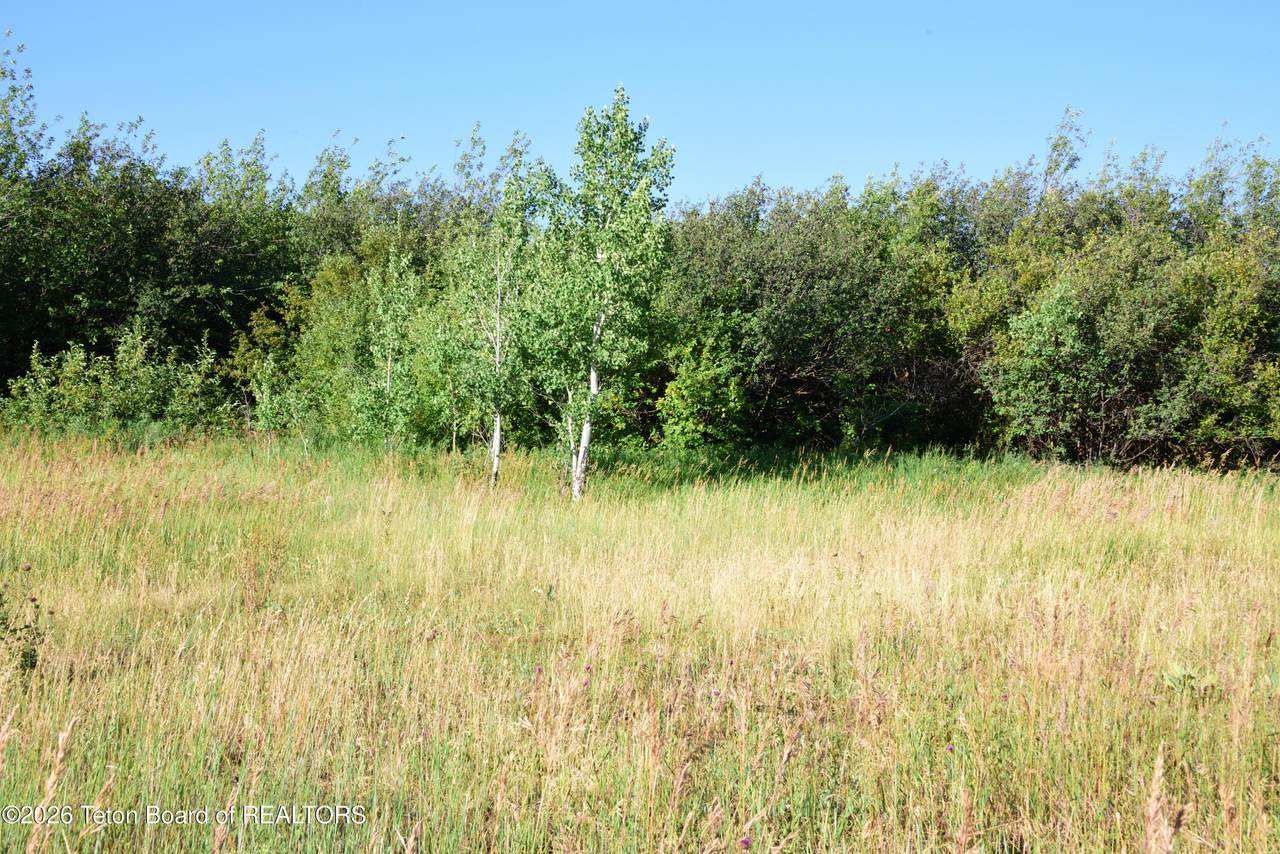 https://bt-photos.global.ssl.fastly.net/teton/1280_boomver_1_26-1619-2.jpg
