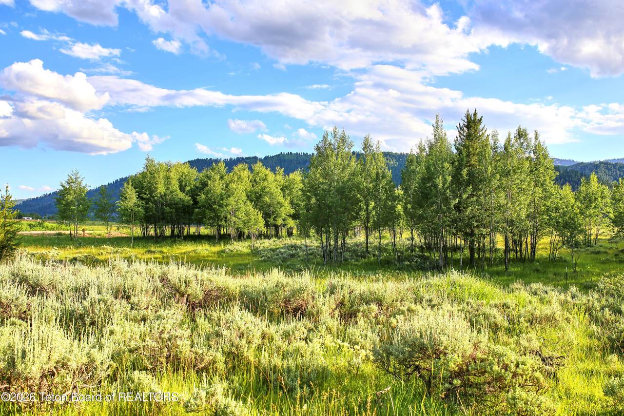 https://bt-photos.global.ssl.fastly.net/teton/1280_boomver_1_26-1655-2.jpg