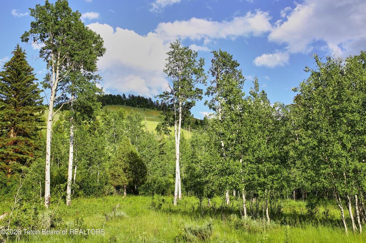 https://bt-photos.global.ssl.fastly.net/teton/1280_boomver_1_26-1656-2.jpg