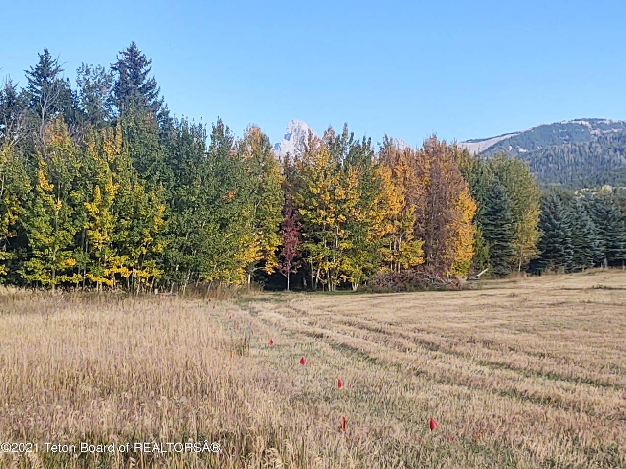 445 Targhee Towne Road - Photo 1