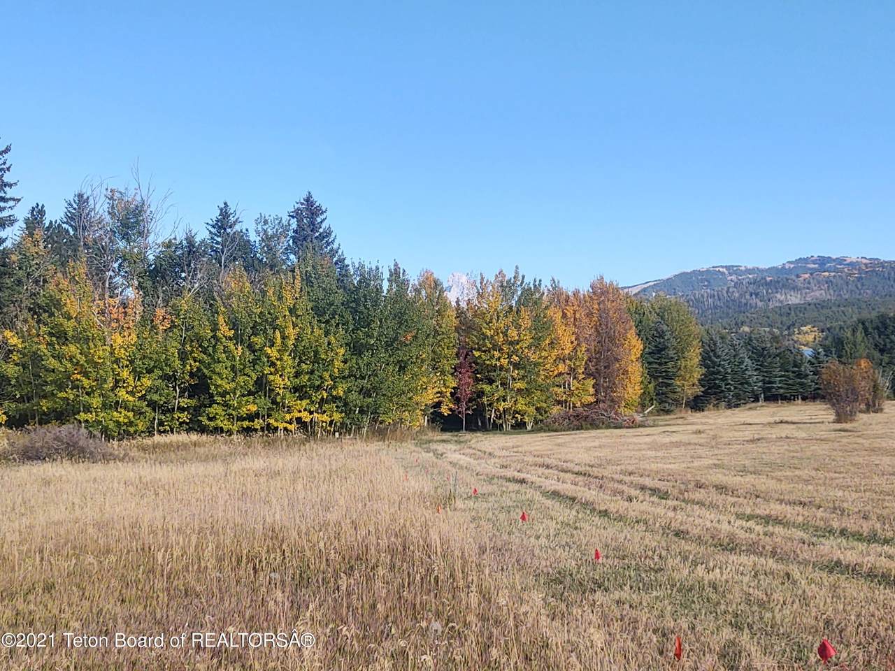 https://bt-photos.global.ssl.fastly.net/teton/1280_boomver_1_26-1743-2.jpg