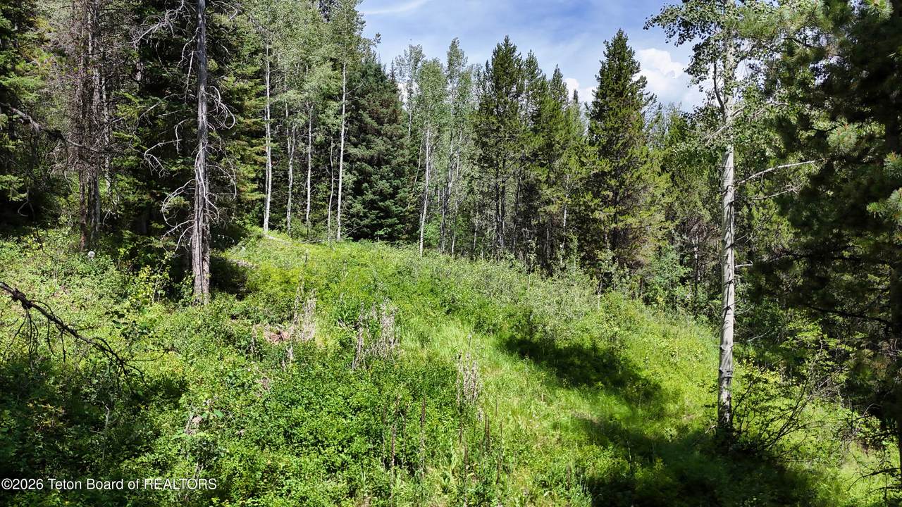 https://bt-photos.global.ssl.fastly.net/teton/1280_boomver_1_26-1767-2.jpg