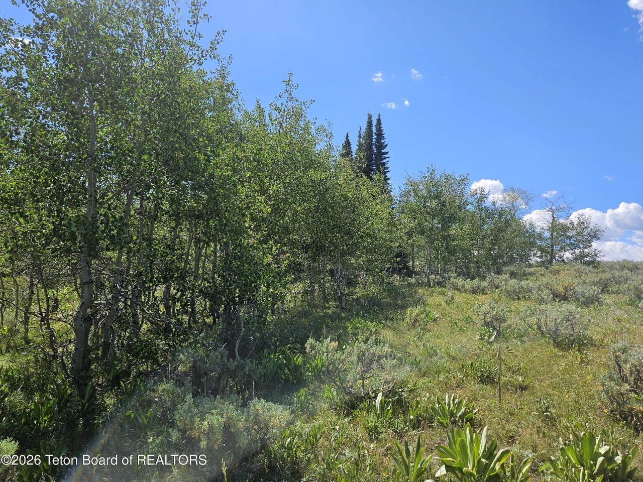 https://bt-photos.global.ssl.fastly.net/teton/1280_boomver_1_26-1815-2.jpg