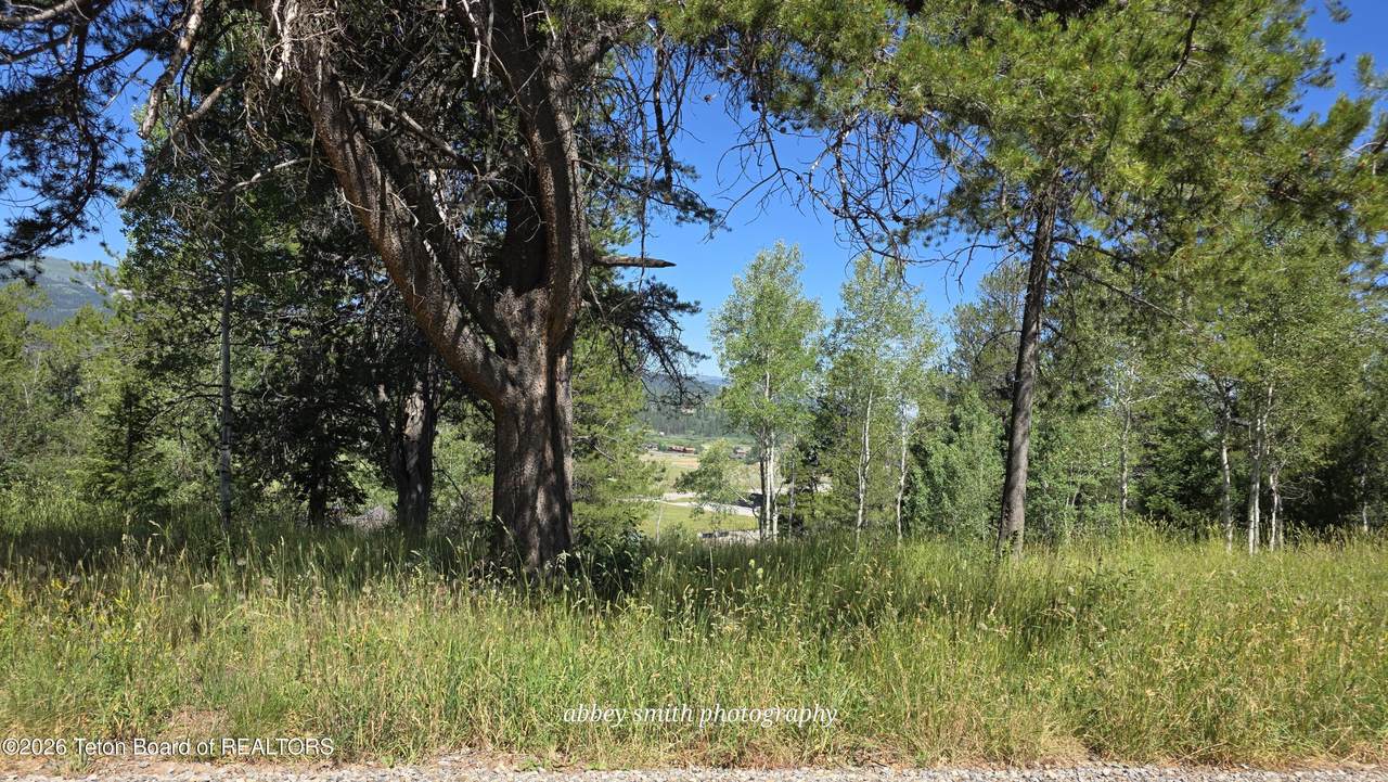https://bt-photos.global.ssl.fastly.net/teton/1280_boomver_1_26-1844-2.jpg