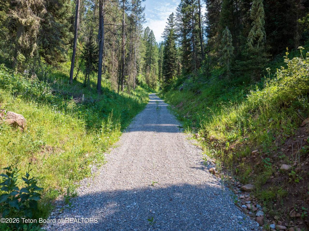 80 ACRES Co Rd 126 - Photo 1