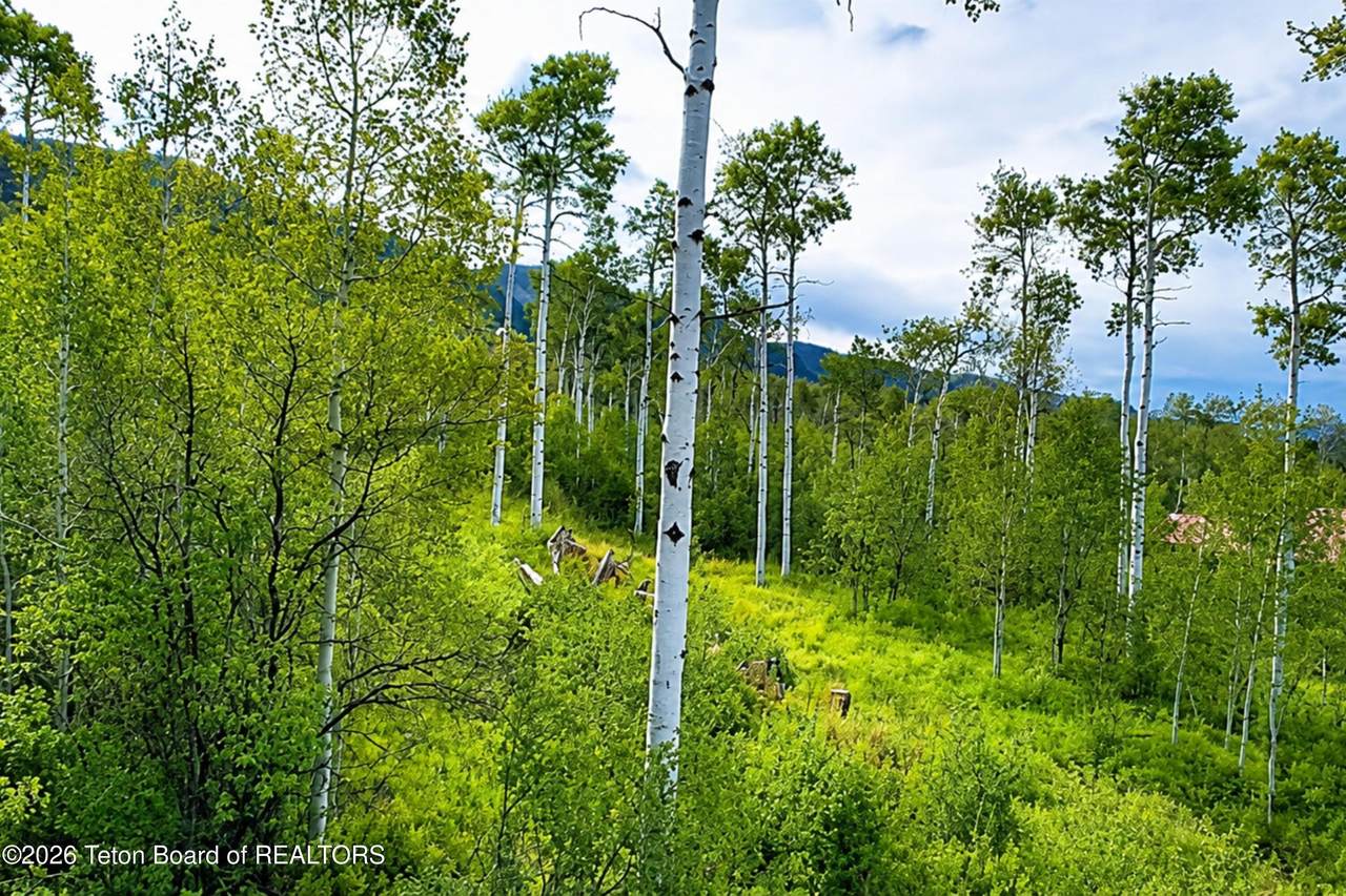 https://bt-photos.global.ssl.fastly.net/teton/1280_boomver_1_26-2005-2.jpg