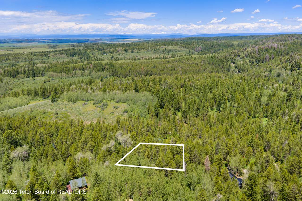 11559 Timberwolf Way - Photo 1