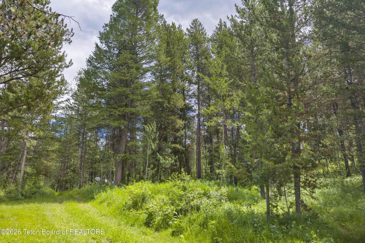 https://bt-photos.global.ssl.fastly.net/teton/1280_boomver_1_26-2009-2.jpg