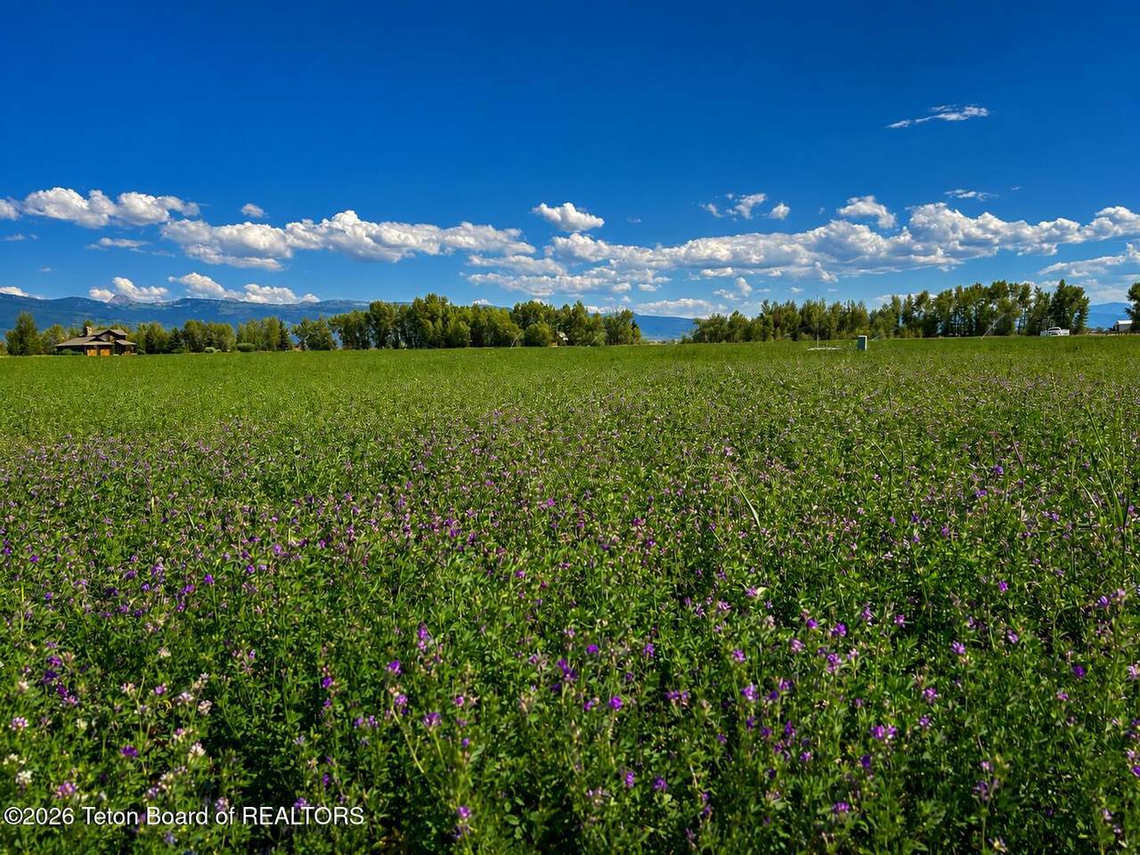 https://bt-photos.global.ssl.fastly.net/teton/1280_boomver_1_26-2045-2.jpg