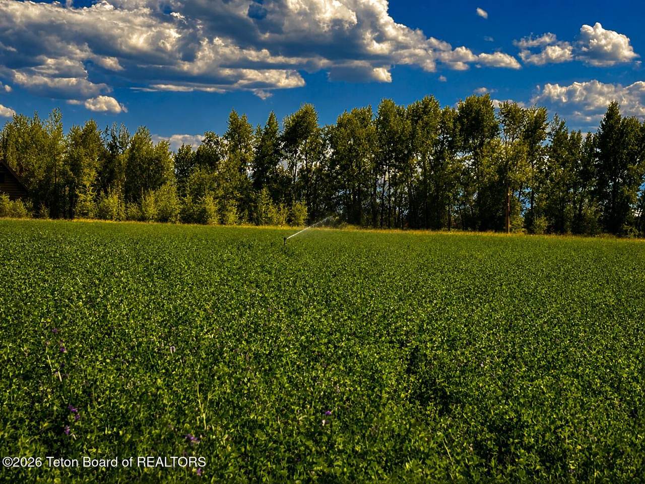 https://bt-photos.global.ssl.fastly.net/teton/1280_boomver_1_26-2045-2.jpg
