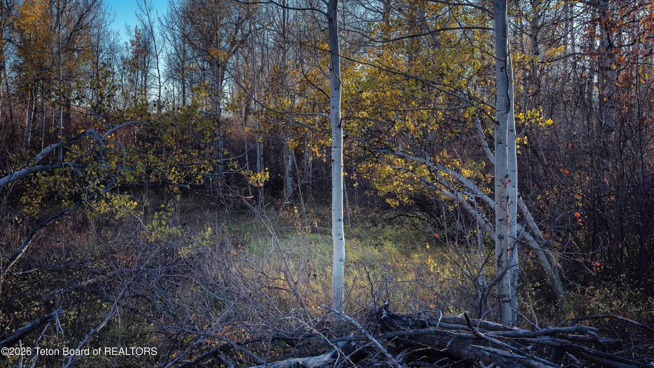 https://bt-photos.global.ssl.fastly.net/teton/1280_boomver_1_26-2146-2.jpg