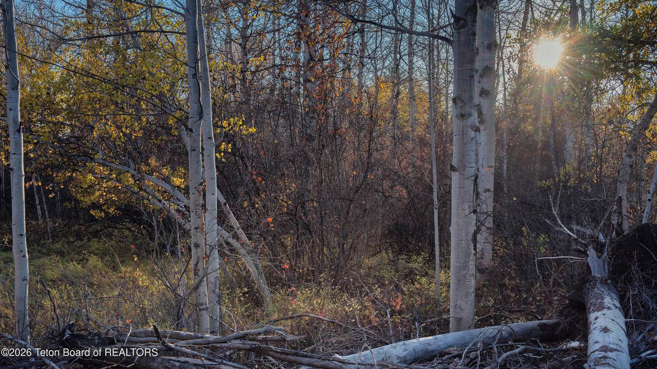 https://bt-photos.global.ssl.fastly.net/teton/1280_boomver_1_26-2146-2.jpg
