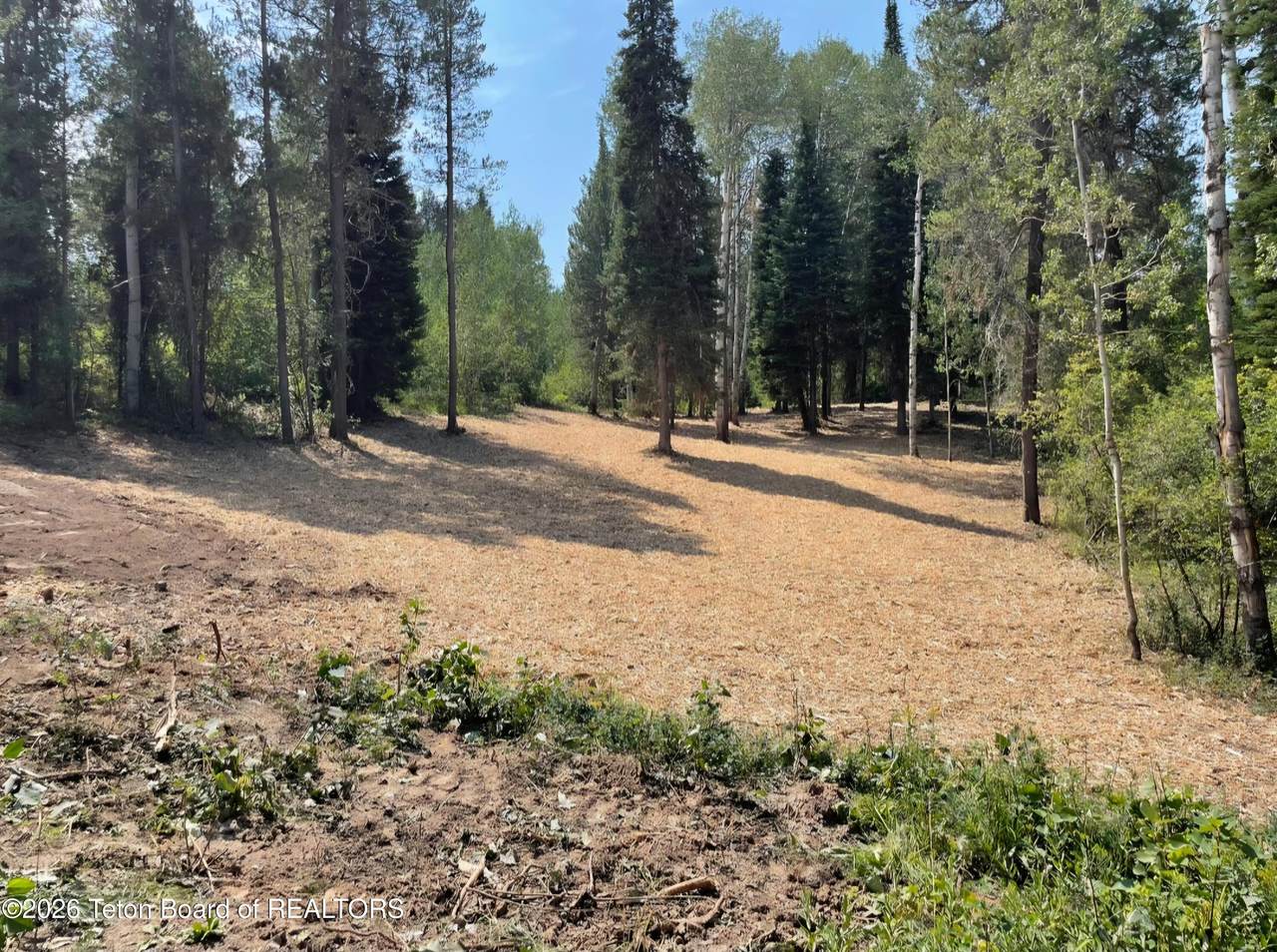 LOT 13 Alpine Meadow Loop - Photo 1