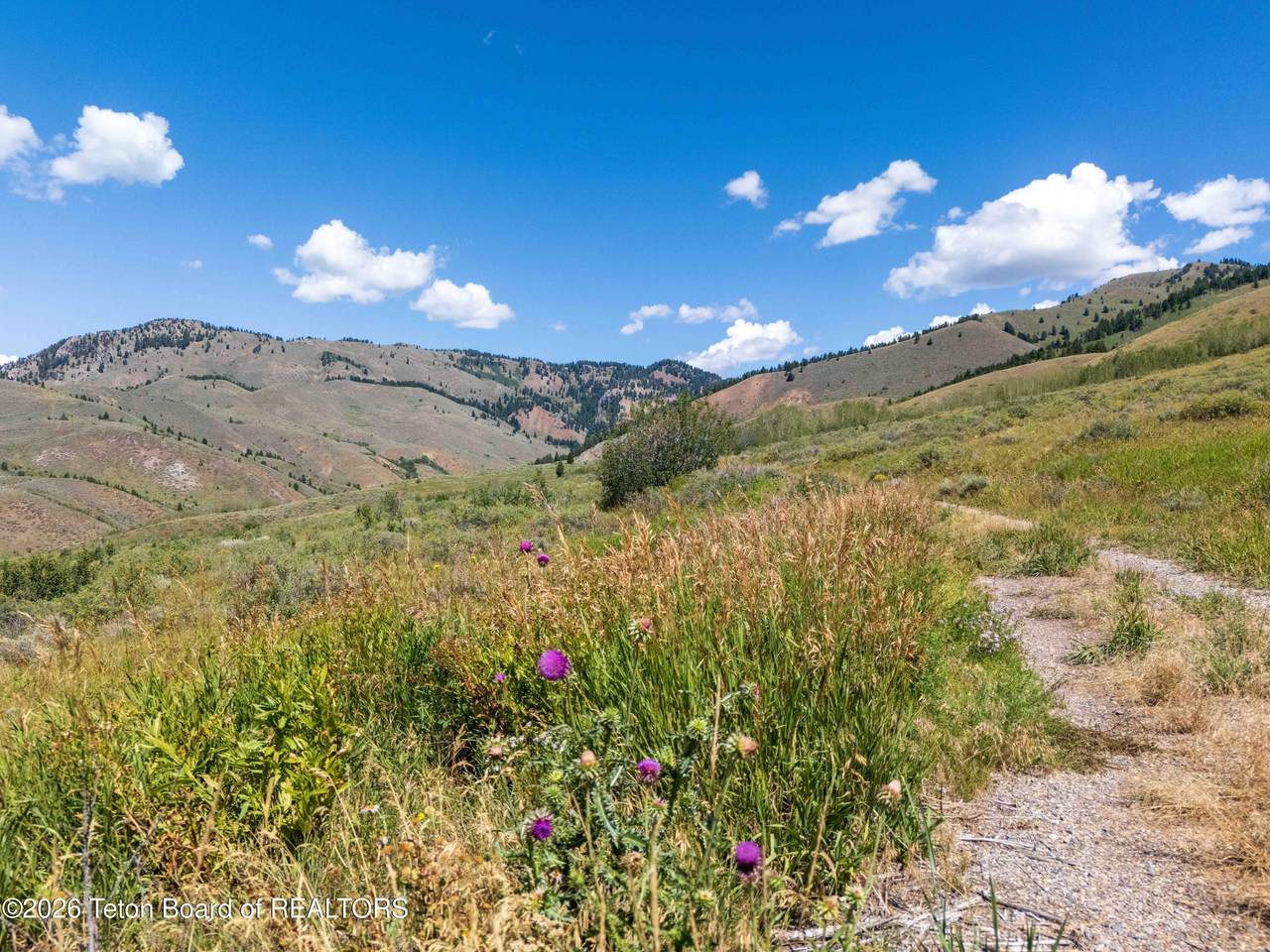 3250 Wildhorse Road - Photo 1