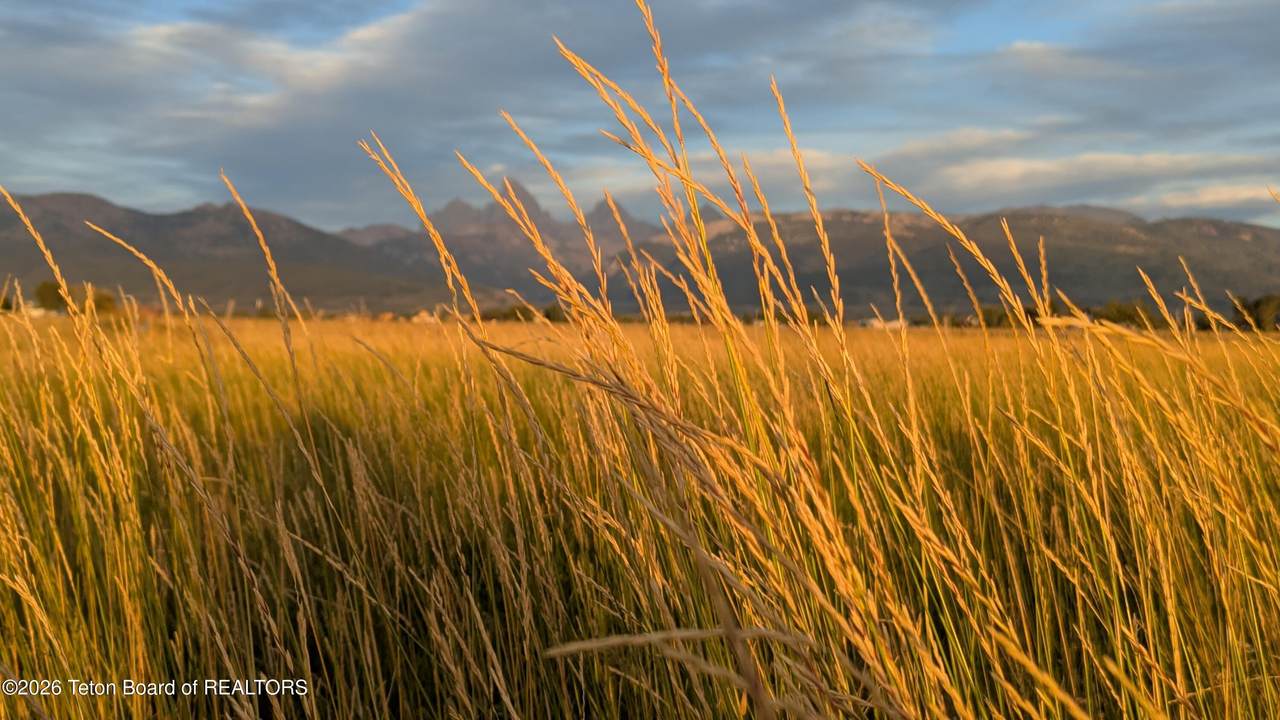 https://bt-photos.global.ssl.fastly.net/teton/1280_boomver_2_26-2357-2.jpg