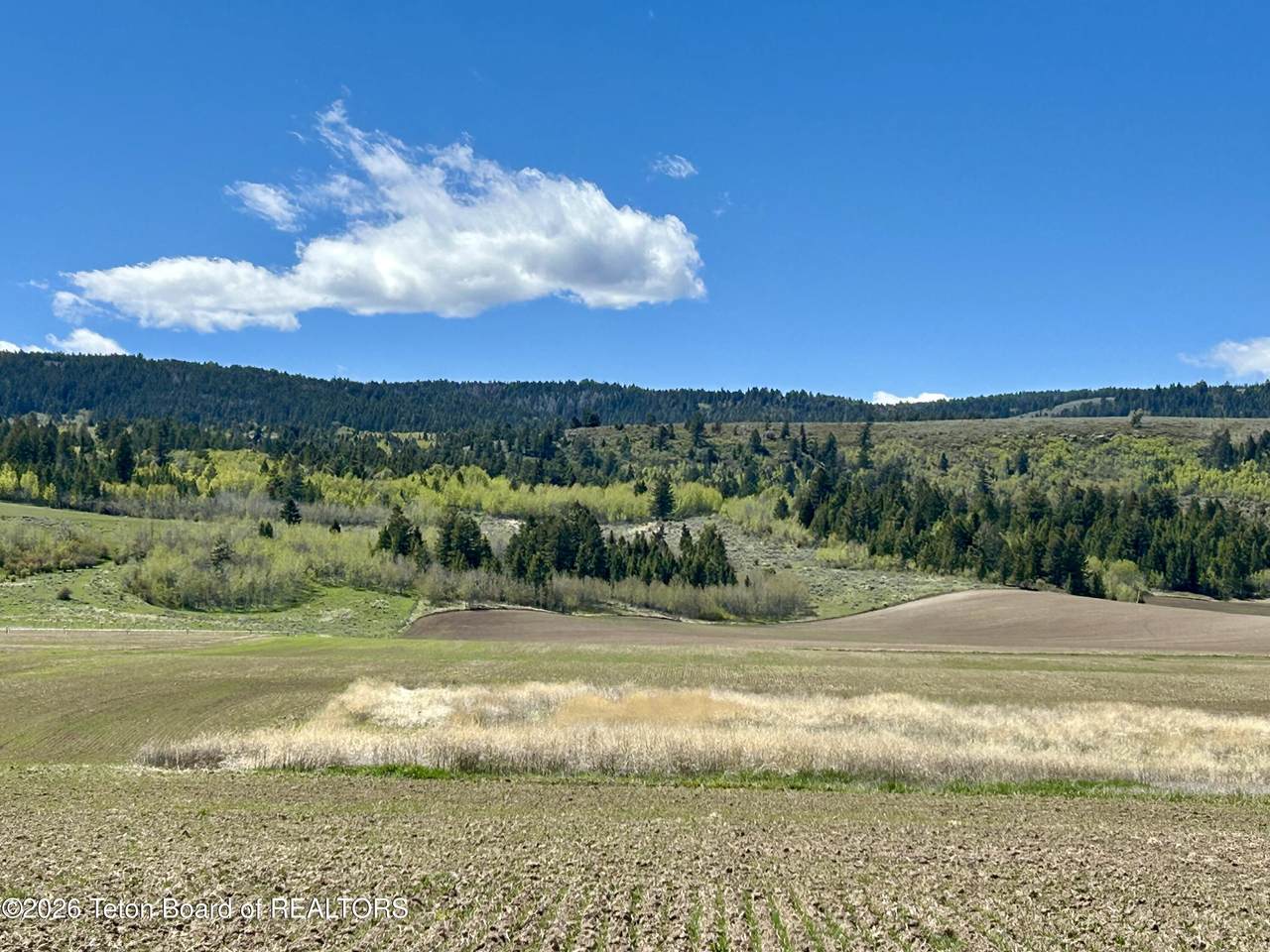 https://bt-photos.global.ssl.fastly.net/teton/1280_boomver_2_26-277-2.jpg