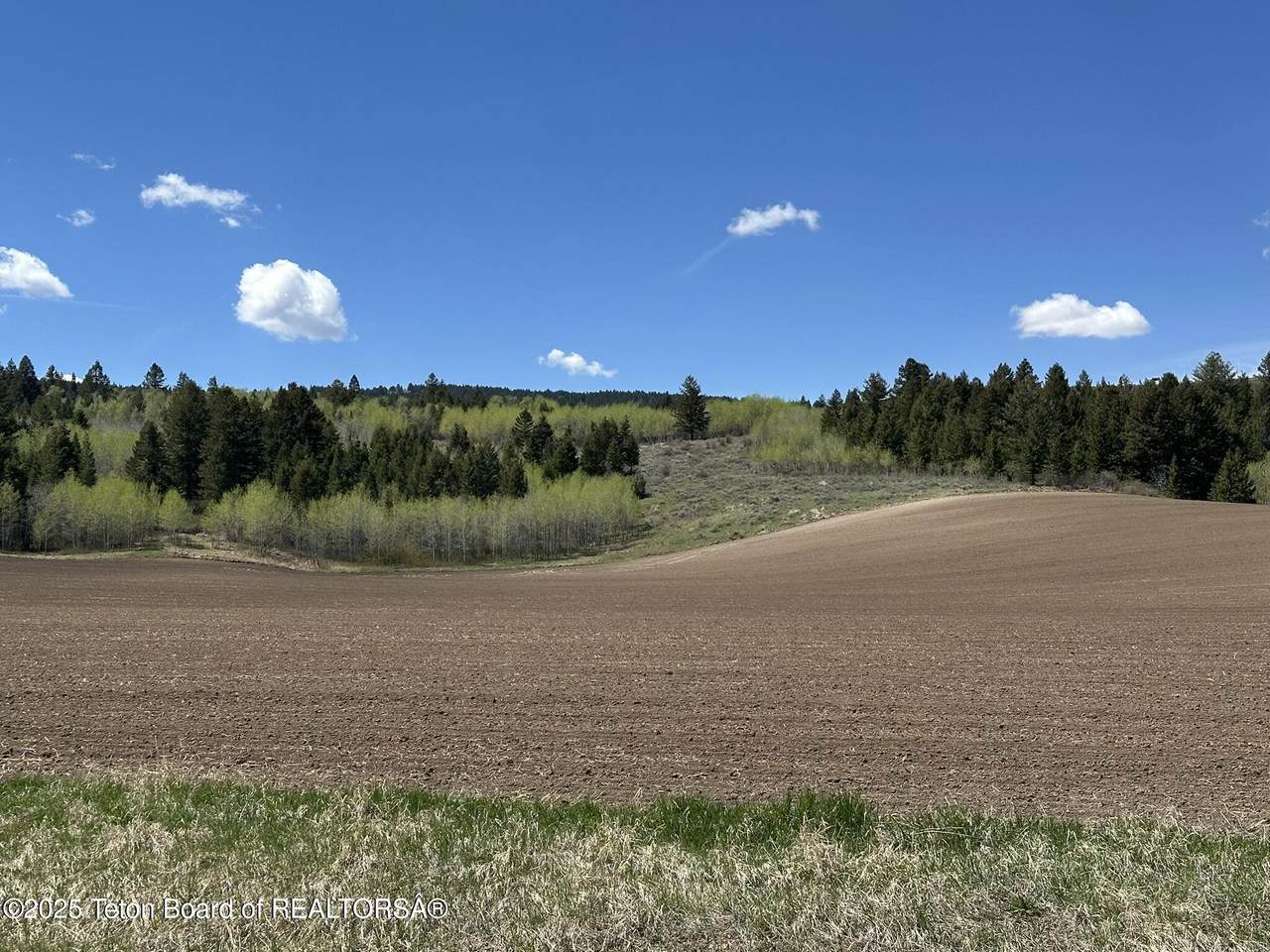 https://bt-photos.global.ssl.fastly.net/teton/1280_boomver_1_26-308-2.jpg