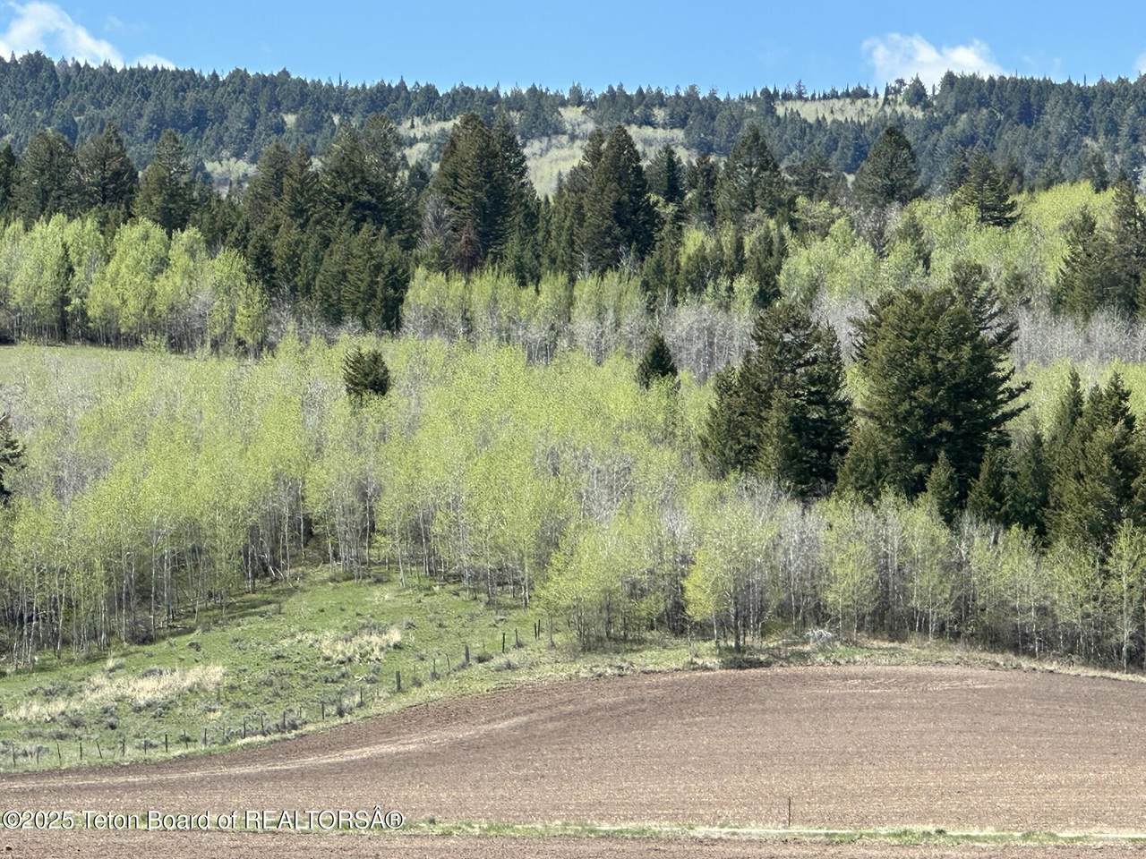 https://bt-photos.global.ssl.fastly.net/teton/1280_boomver_1_26-308-2.jpg