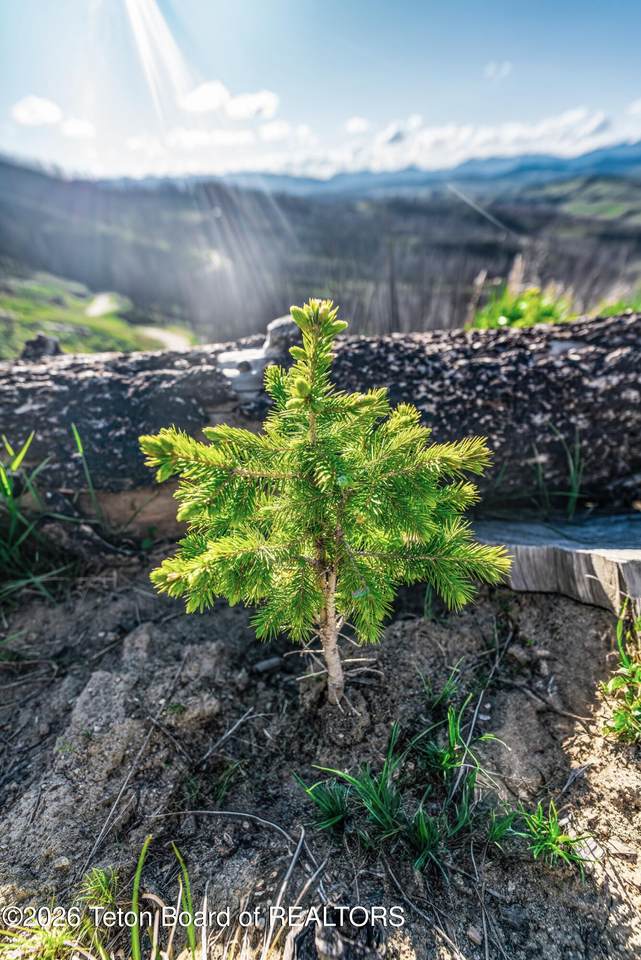 https://bt-photos.global.ssl.fastly.net/teton/1280_boomver_1_26-569-2.jpg