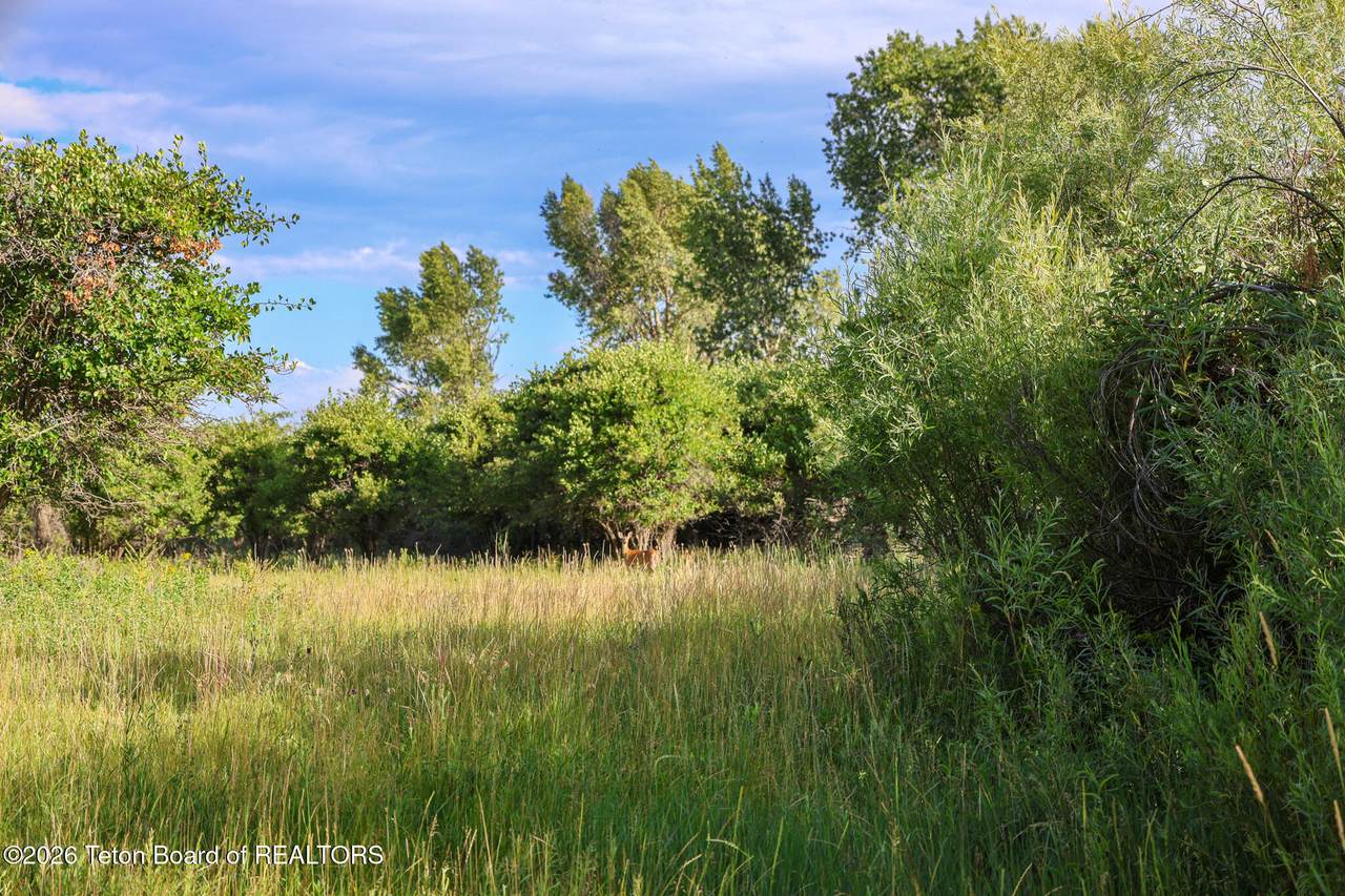 https://bt-photos.global.ssl.fastly.net/teton/1280_boomver_1_26-648-2.jpg